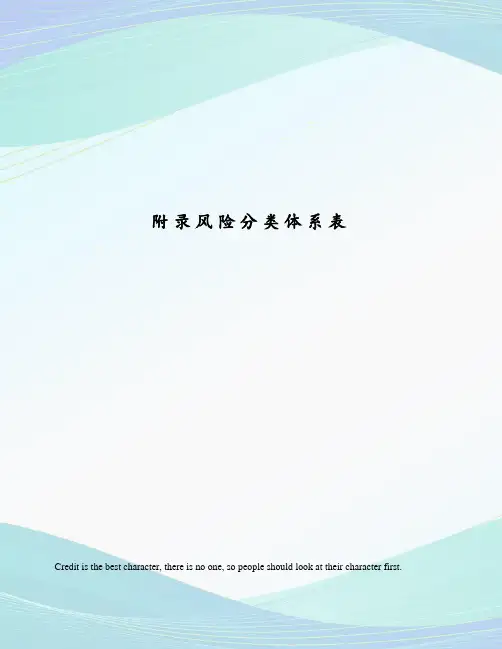 附录风险分类体系表