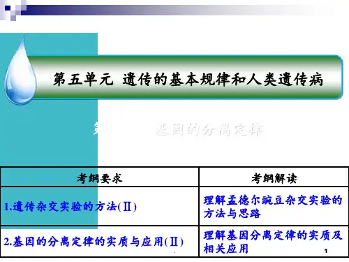 高三一轮复习：基因的分离定律PPT课件