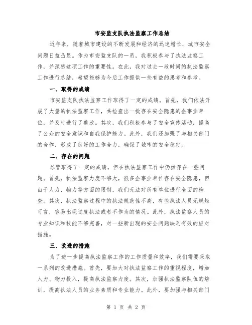 市安监支队执法监察工作总结