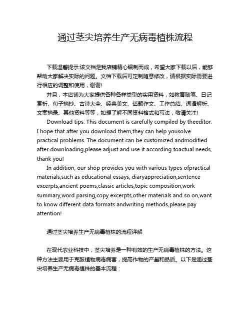 通过茎尖培养生产无病毒植株流程
