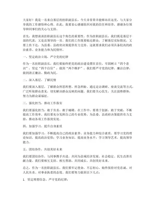 挂职副县长演讲稿范文