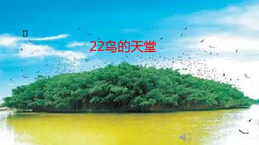 22鸟的天堂课件(共28张PPT)