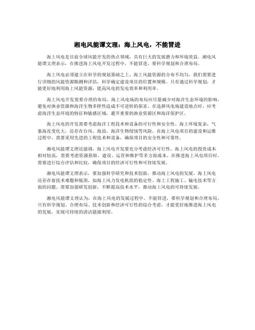 湘电风能谭文理：海上风电,不能冒进