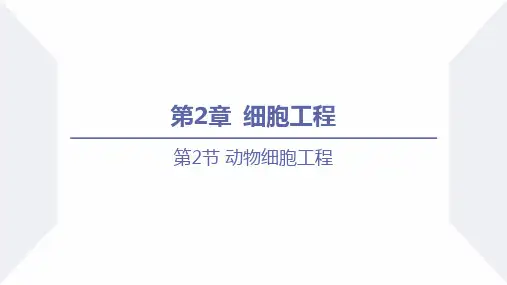 动物细胞融合技术与单克隆抗体(课件)高二生物(人教版2019选择性必修3)