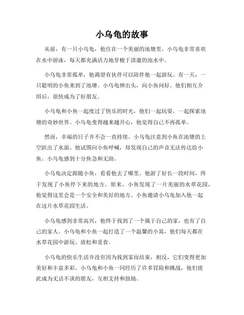 小乌龟的故事