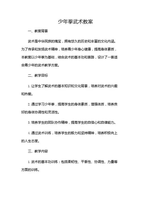 少年拳武术教案(目录版)