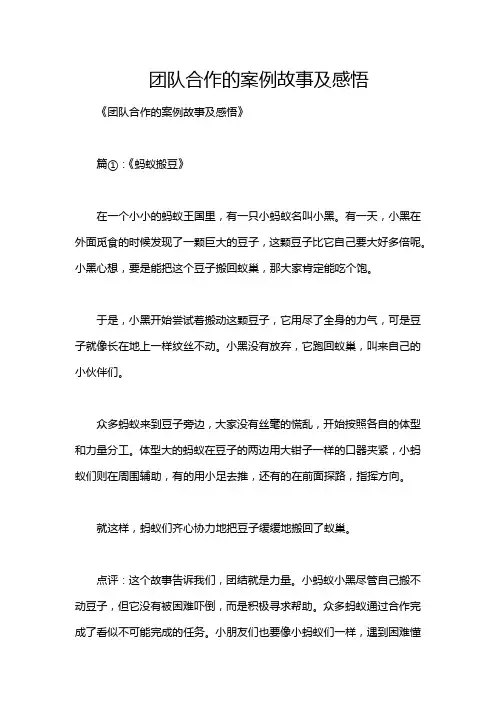 团队合作的案例故事及感悟