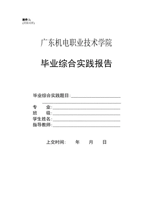 毕业综合实践报告(论文)