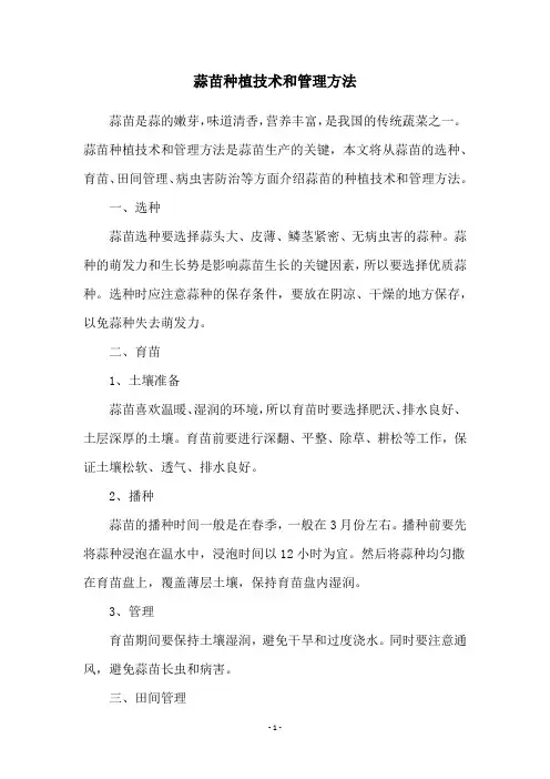 蒜苗种植技术和管理方法