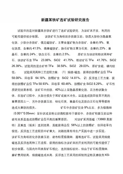 新疆某铁矿选矿试验研究报告