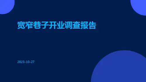 宽窄巷子开业调查报告