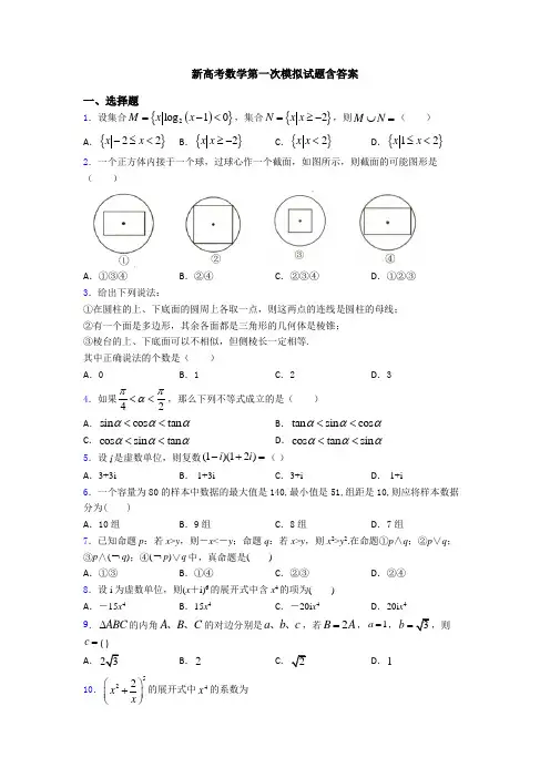 新高考数学第一次模拟试题含答案