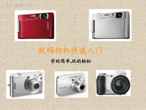 数码相机操作入门