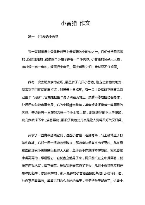 小香猪 作文