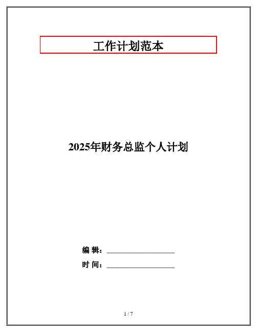 2025年财务总监个人计划