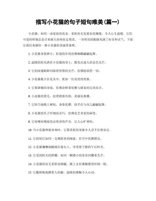 描写小花猫的句子短句唯美(精选合集2篇)