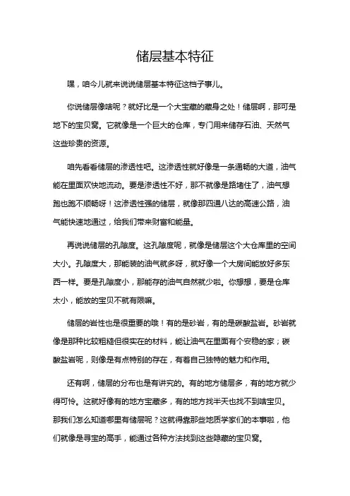 储层基本特征
