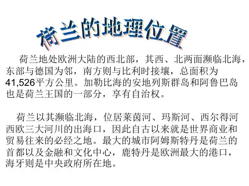 荷兰是个花之国