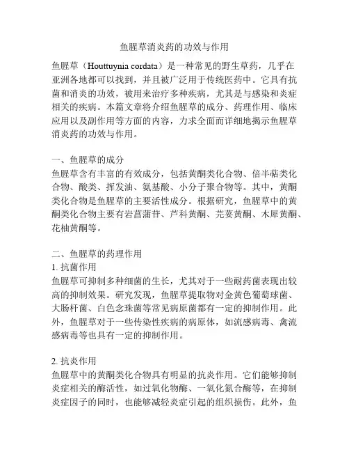 鱼腥草消炎药的功效与作用