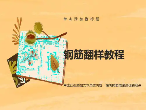 钢筋翻样学习教材