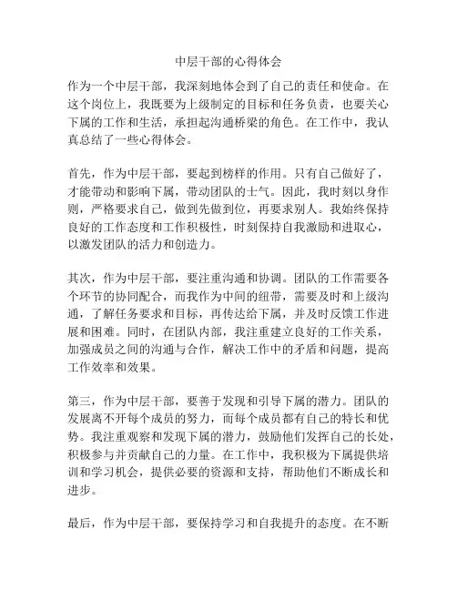 中层干部的心得体会