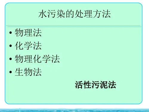 水污染的处理方法(ppt 29页)