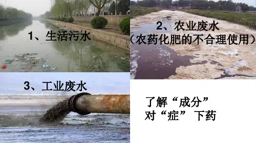 初中化学_酸碱盐的性质之反应后溶液中溶质成分的探究教学课件设计