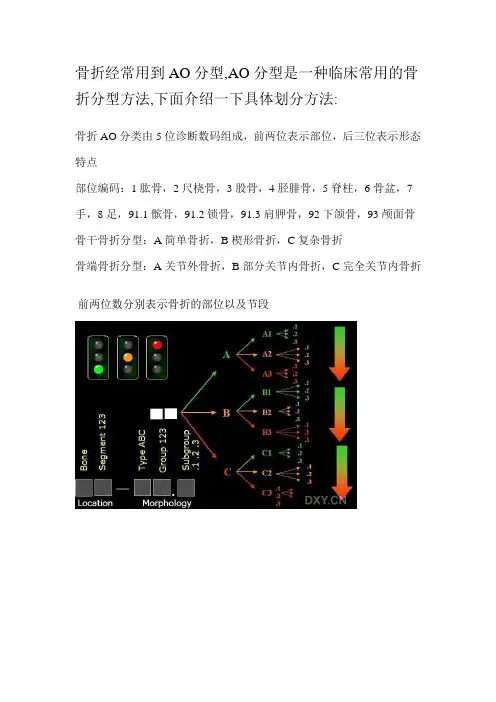 AO分型详细图文解说