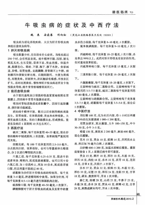 牛吸虫病的症状及中西疗法