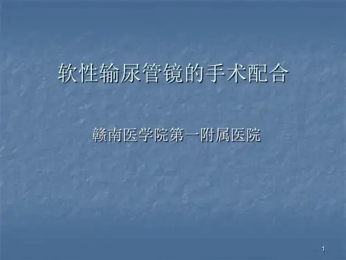 软性输尿管镜的手术配合PPT课件