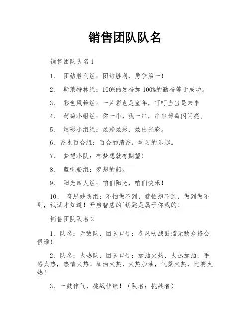 销售团队队名