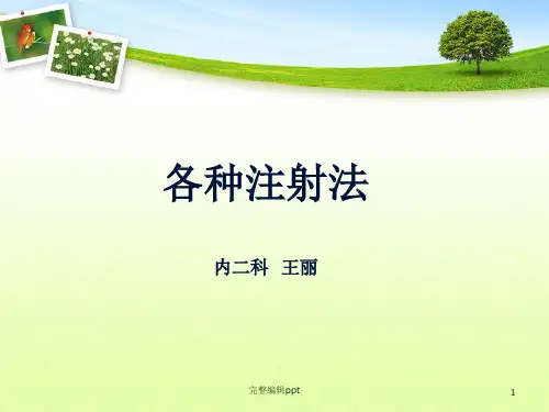 各种注射法ppt精选课件