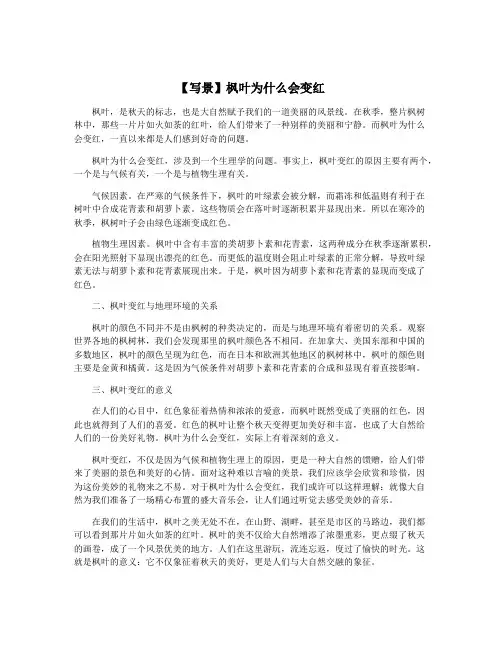 【写景】枫叶为什么会变红