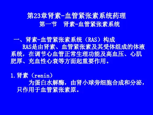 第23章肾素-血管紧张素系统药物