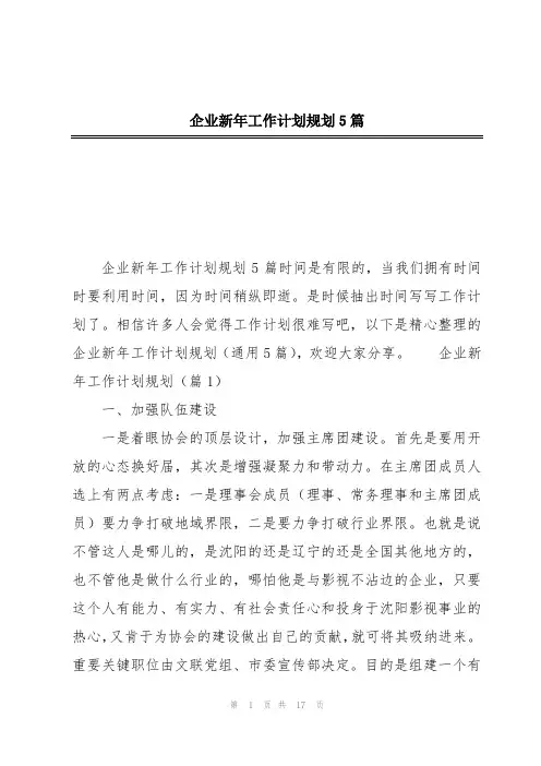 企业新年工作计划规划5篇