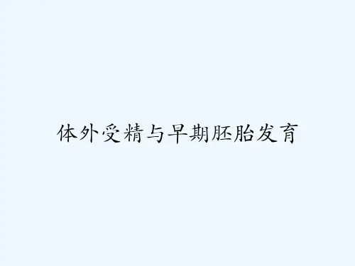体外受精与早期胚胎发育-PPT