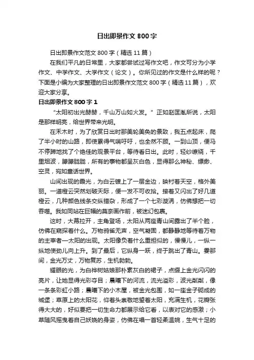 日出即景作文范文800字（精选11篇）