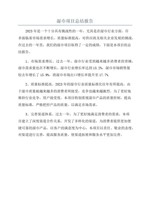 湿巾项目总结报告