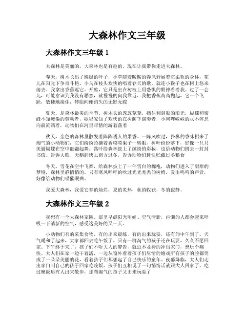 大森林作文三年级