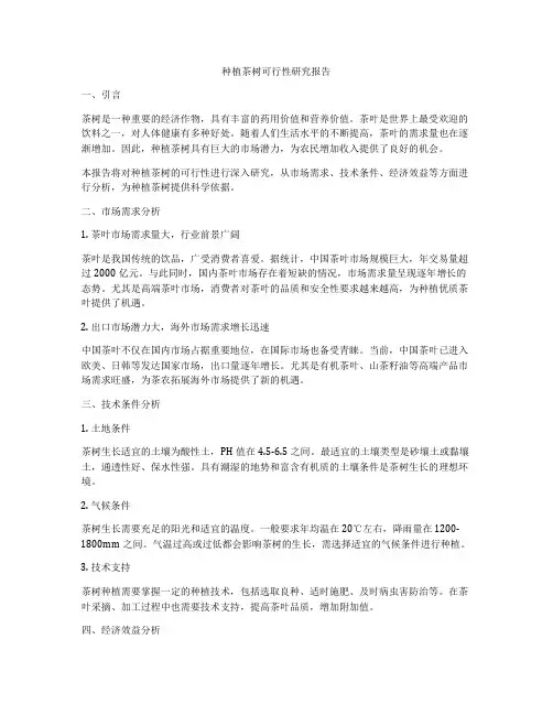 种植茶树可行性研究报告