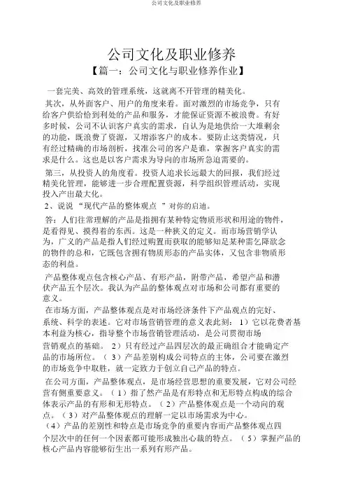企业文化及职业素养