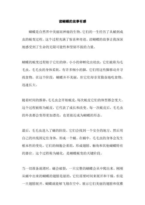 读蝴蝶的故事有感