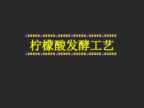 柠檬酸发酵工艺