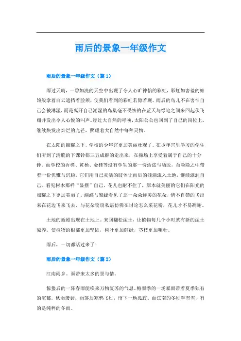 雨后的景象一年级作文