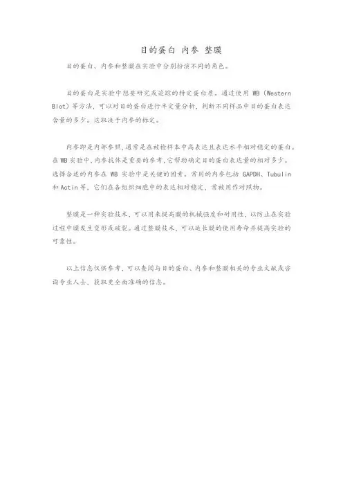 目的蛋白 内参 整膜