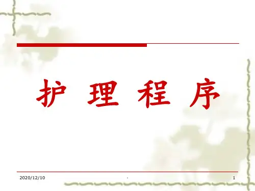 护理程序PPT课件