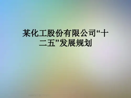 某化工股份有限公司“十二五”发展规划