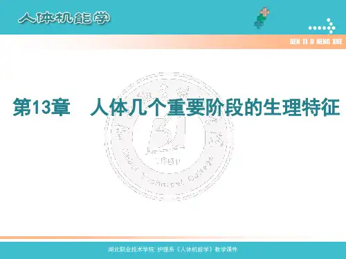 人体几个重要的生理特征