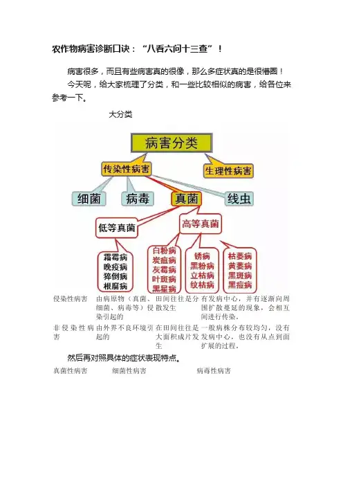 农作物病害诊断口诀：“八看六问十三查”！