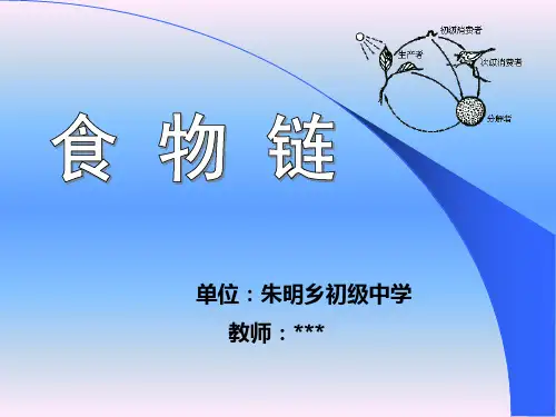 七年级生物食物链教学课件PPT资料18页